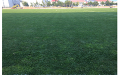 秦皇島國(guó)家足球訓(xùn)練基地