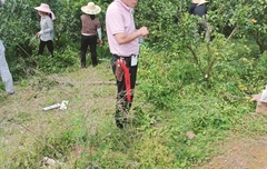 愛麗斯工具助力果園修剪培訓